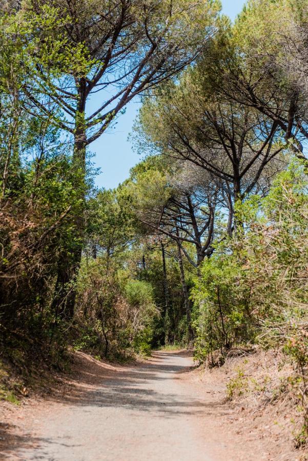 Villa Bolgherello Marina Di Bibbona Dış mekan fotoğraf